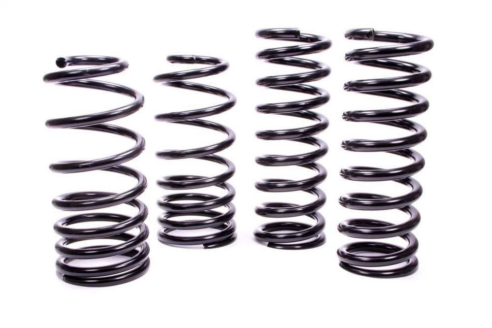 Ford Performance B Lowering Springs, 1979-04 Mustang