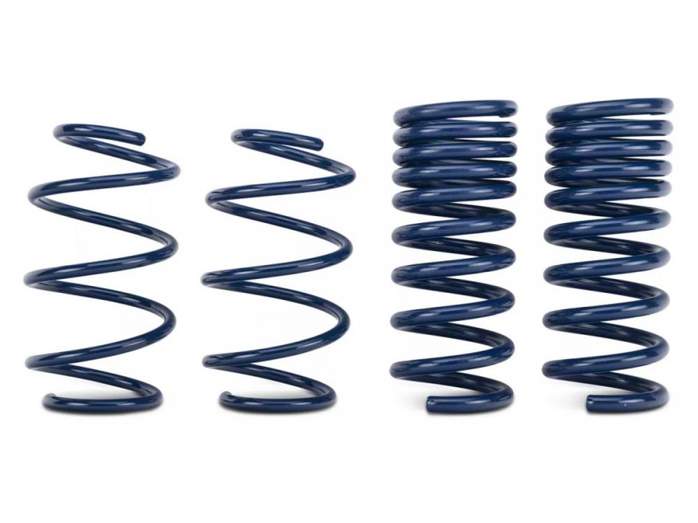 Ford Performance Street Lowering Springs, 2015+ Mustang Coupe