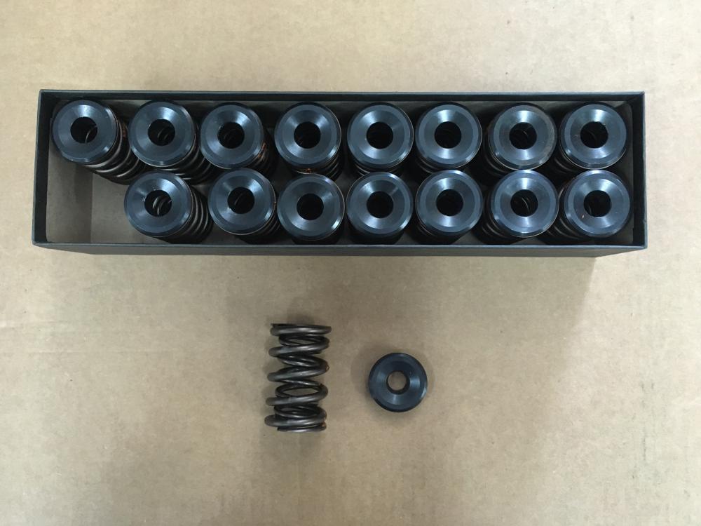 AFR 205 Valve Springs, New