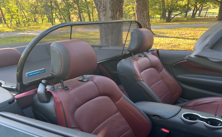 Love the Drive Wind Screen, 2024+ Mustang