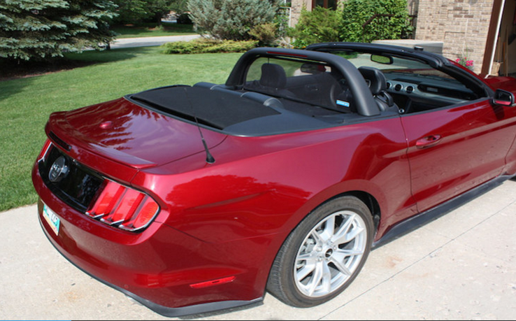 Love the Drive Wind Screen, fits CDC Lightbar, 2015-23 Mustang