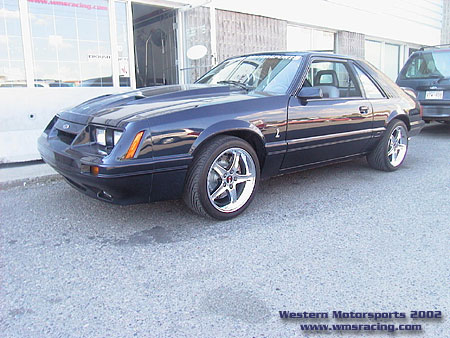 Shaun's 1985 Mustang