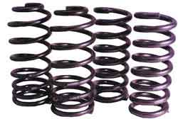 Steeda Sport springs, 2003-04 Cobra (720-780 f/650-790 r)