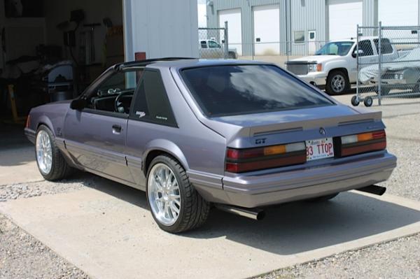 Tim Dumur Rear