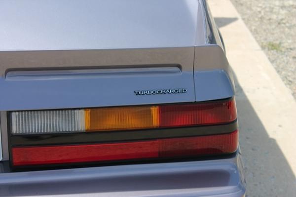 Tim Dumur Rear 2